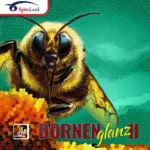 SPINLORD DORNENGLANZ II