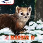 Spinlord Marder IV